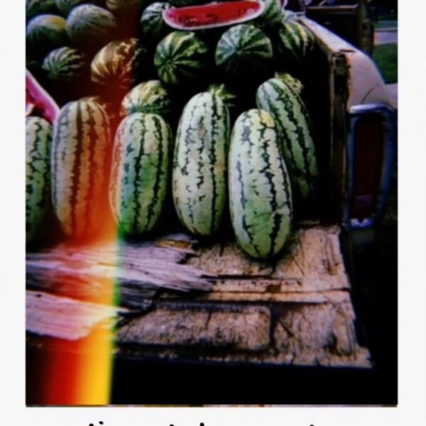 Mixed Watermelon Seeds