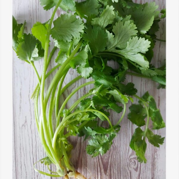 Parsley