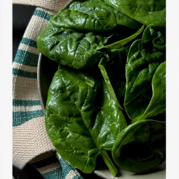 Spinach