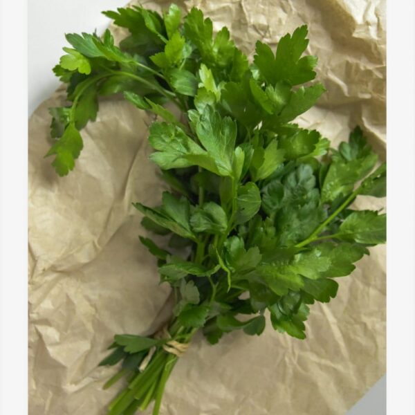 Coriander
