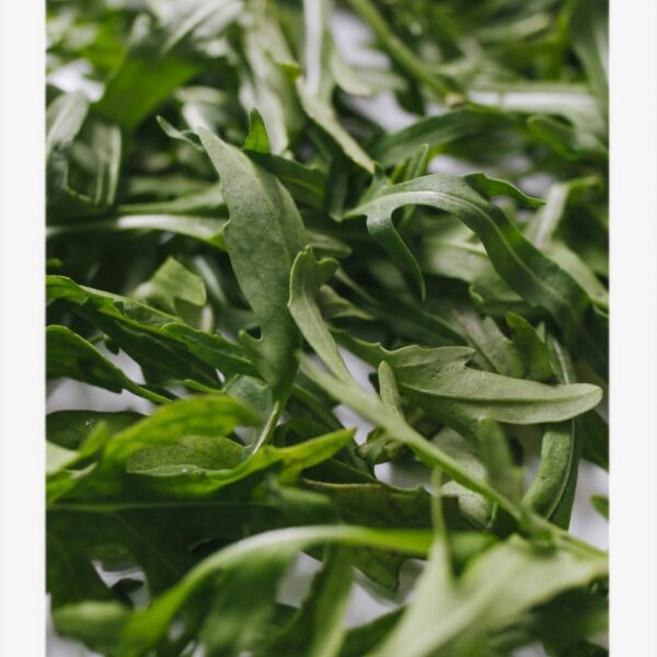 Arugula
